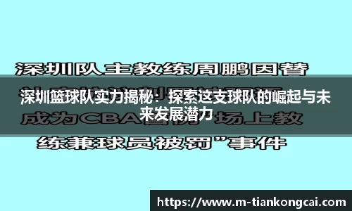 深圳篮球队实力揭秘：探索这支球队的崛起与未来发展潜力