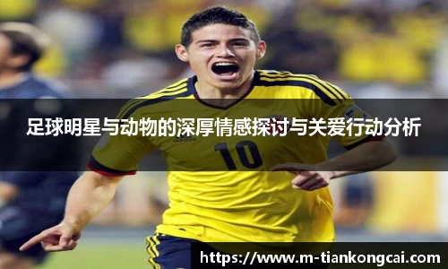 足球明星与动物的深厚情感探讨与关爱行动分析